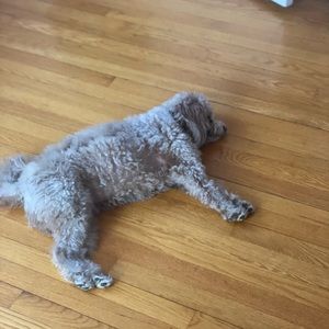 Meet your Posher, Chelsea